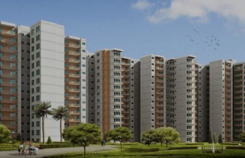 MRG World Sector 106