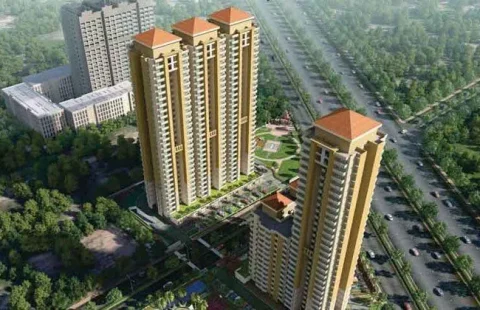 Mahira Homes 63A